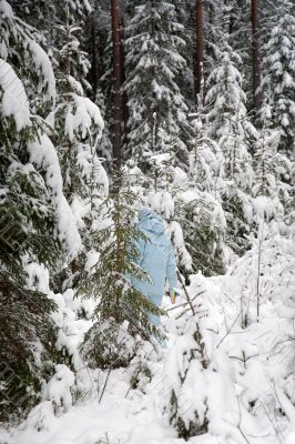 girl snow fir spruce