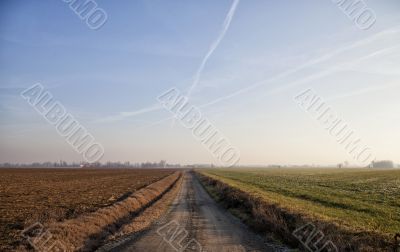 Road in the fields