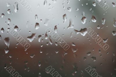 Raindrops