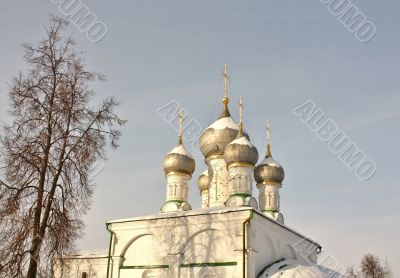 Domes of the church 