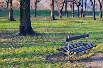 Bench in park