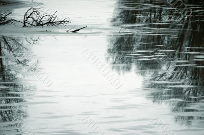 Winter pond