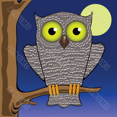 owl and moon