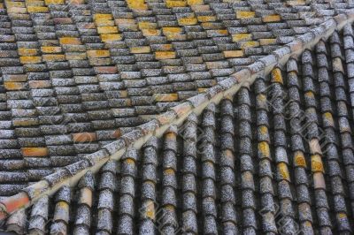 The white lichens of this roof are the protagonists of this photo