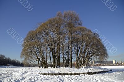 Island at the pond in Tsaritsyno