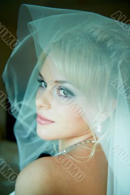 Portrait of a beautiful bride