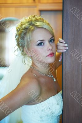 Portrait of a beautiful bride