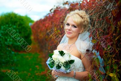 Portrait of a beautiful bride