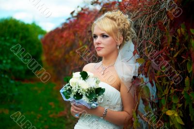 Portrait of a beautiful bride