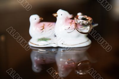 Rings and birds