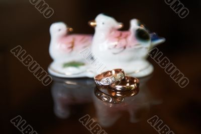 Rings and birds