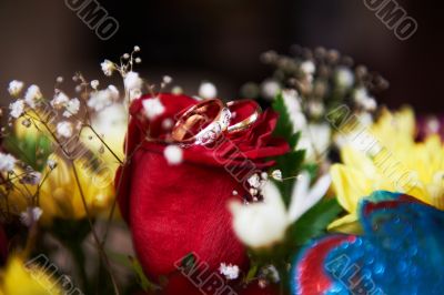 Wedding rings and flowers