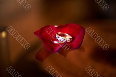 Wedding rings and rose petals