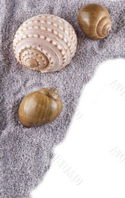 Shells