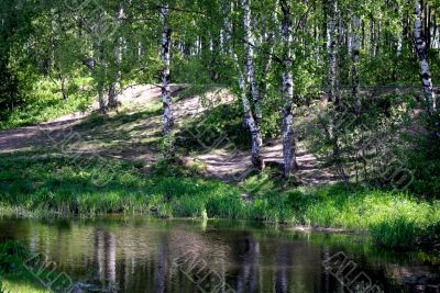 On the shore of the pond.