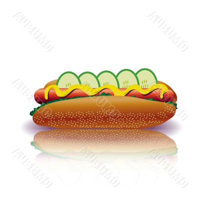 hot dog