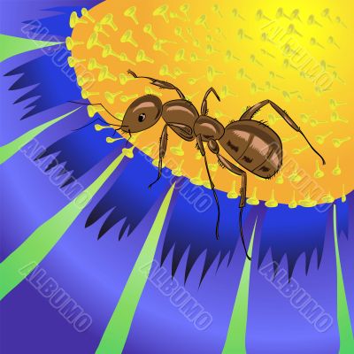 ant and flower