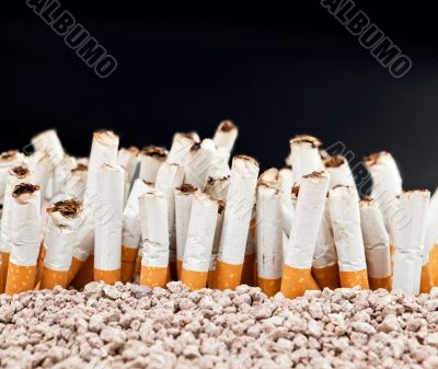 Wall of cigarettes