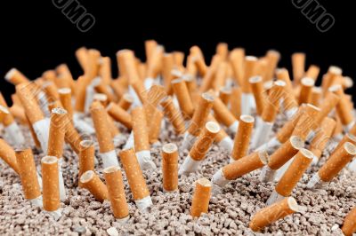 Cigarettes chaos