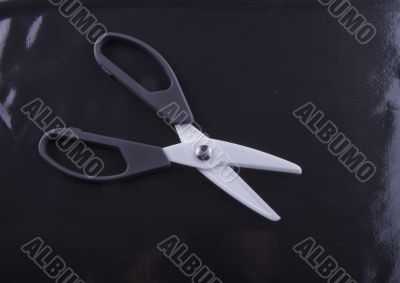 Scissors
