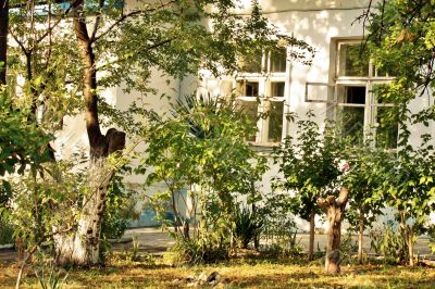 Small front garden