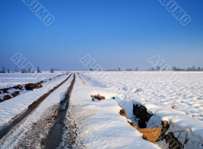 Snowscape