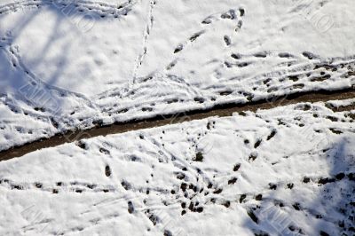 Snow