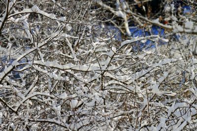  snowy landscape, winter in Russia
