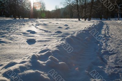 Cold day russian winter polar life