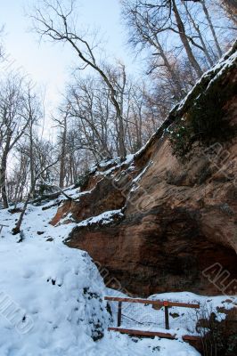 Cold day russian winter polar life