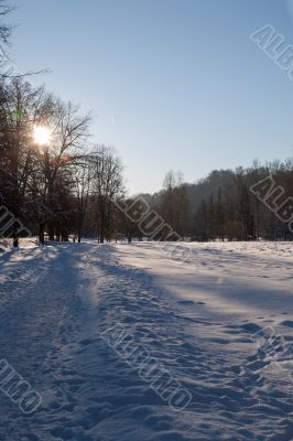 Cold day russian winter polar life