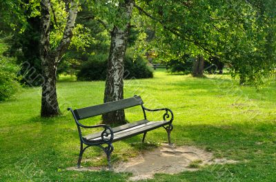 Bench in park