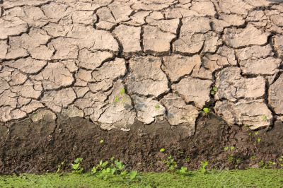 Soil along the canal.