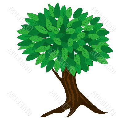 green tree