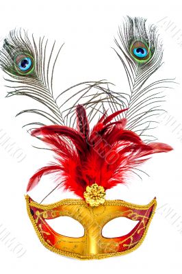 Carnival mask