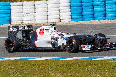 Team Sauber F1, Kamui Kobayashi, 2012