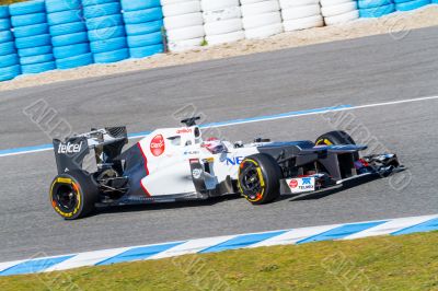 Team Sauber F1, Kamui Kobayashi, 2012