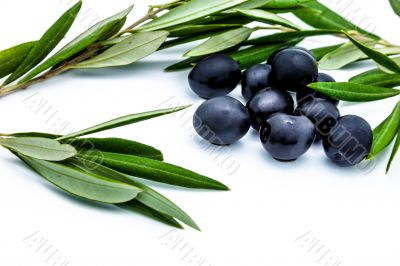 Black olives
