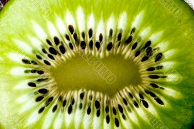 Kiwi fruit