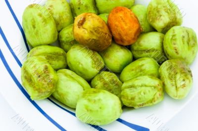 Cactus fruits