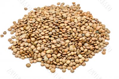 Green lentils