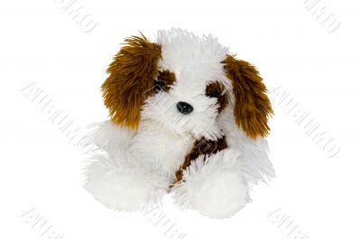 Isolate plush dog