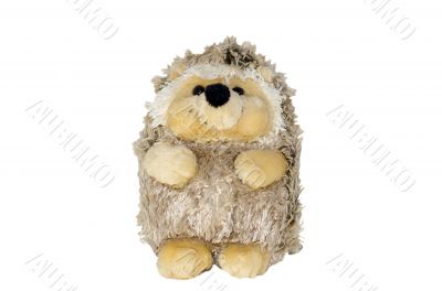 Isolate plush hedgehog