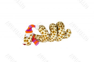 Isolate  plush snake