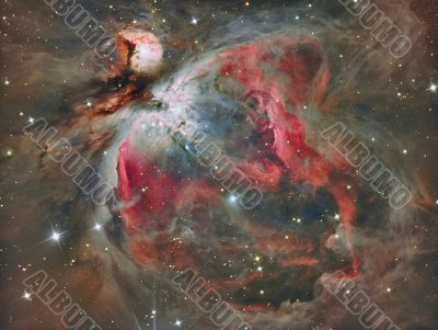 Orion Nebula