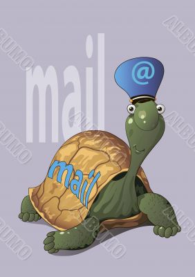 turtle