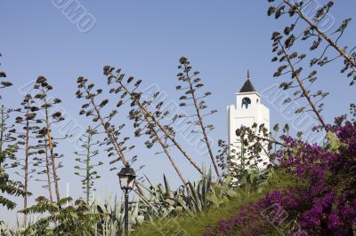 Sidi Bou Said Mosque, Tunisia