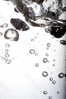 Coffee beans in water