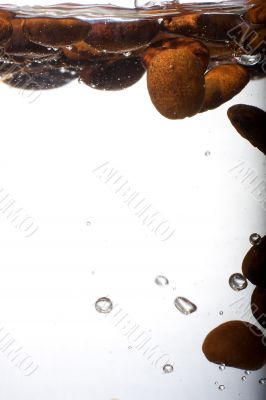 Coffee beans in water