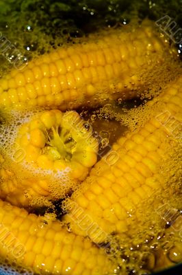 cooked corn